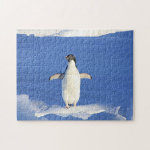 Quebra-cabeça Pinguim engraçado na foto do gelo