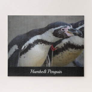 Quebra-cabeça Pinguim Humbolt no Zoo Drusillas em East Sussex