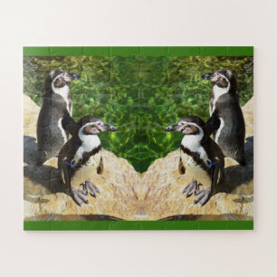 Quebra-cabeça Pinguins