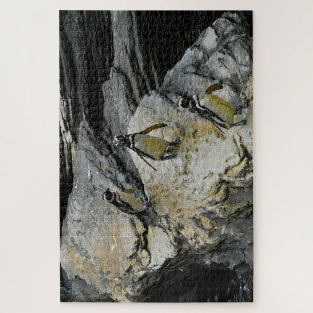 Quebra-cabeça Pinguins-de-humboldt. (Vertical)