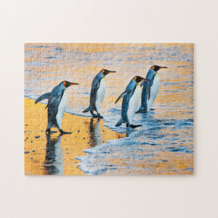 Quebra-cabeça Pinguins de rei no nascer do sol