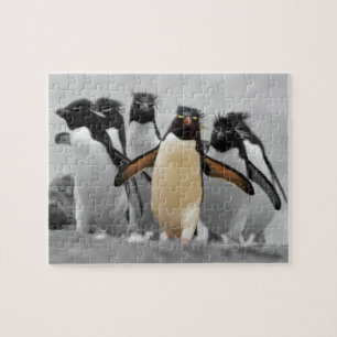 Quebra-cabeça Pinguins de Rockhopper