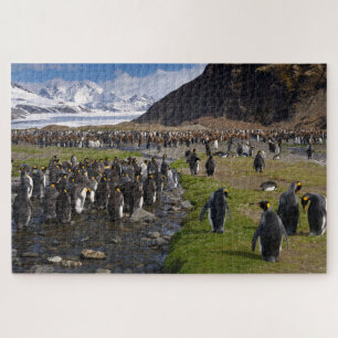 Quebra-cabeça Pinguins e Montanhas do Rei na Geórgia do Sul
