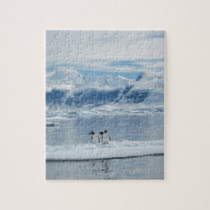 Quebra-cabeça Pinguins em um iceberg