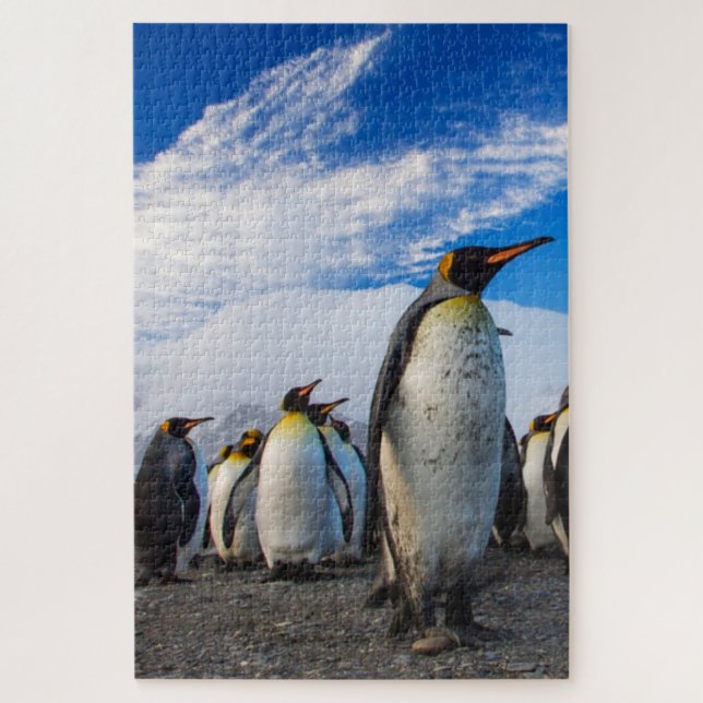 Quebra-cabeça Pinguins Marching Blue Sky (Vertical)