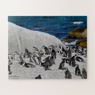 Quebra-cabeça Pinguins na baía dos pedregulhos