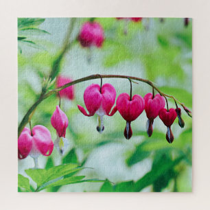 Quebra-cabeça Pink Bleeding heart Flower