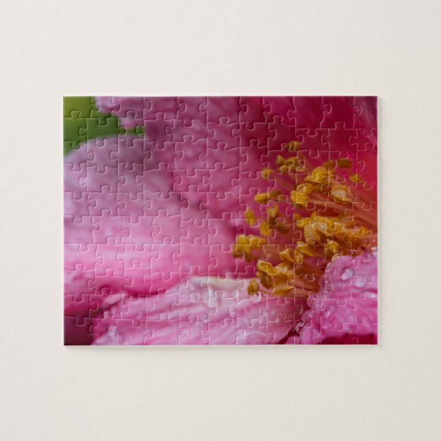 Quebra-cabeça Pink Camellia Flower Stamens (Horizontal)