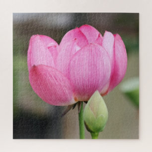 Quebra-cabeça Pink Lotus Flower