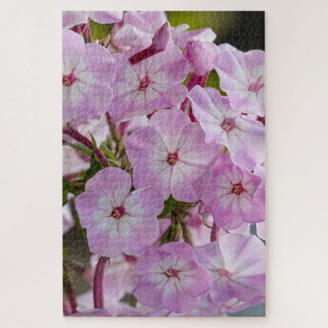Quebra-cabeça Pink Phlox, Canadian Wonder (Vertical)