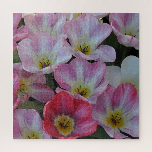 Quebra-cabeça Pink spring tulips  (Vertical)