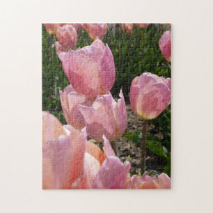 Quebra-cabeça Pink Tulips