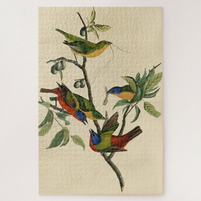 Quebra-cabeça Pintados de finch (Bunting) - Aves da América de A (Vertical)