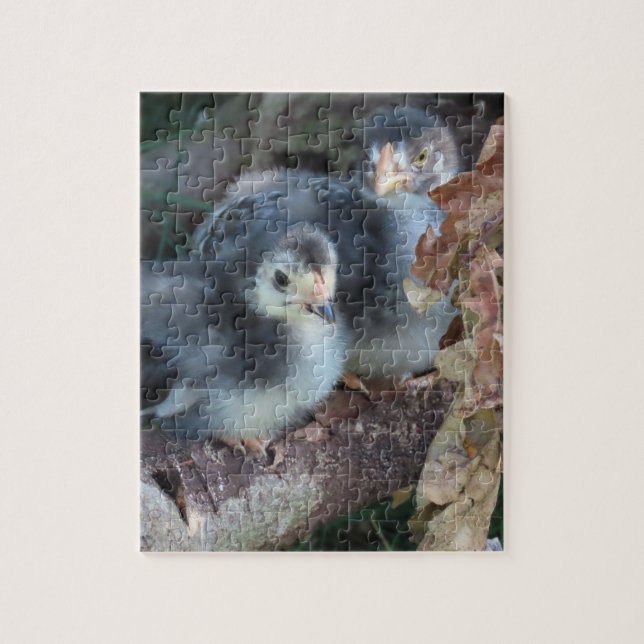 Quebra-cabeça Pintinhos de frango (Vertical)