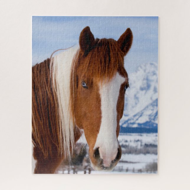 Quebra-cabeça Pinto Horse Mount Moran in Winter (Vertical)