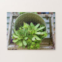 Pintura A Óleo De Fotografias Com Êxito De Pintinh