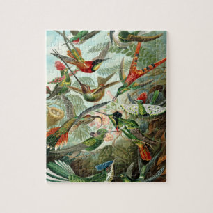 Quebra-cabeça pintura clássica da fauna selvagem de beija-flor