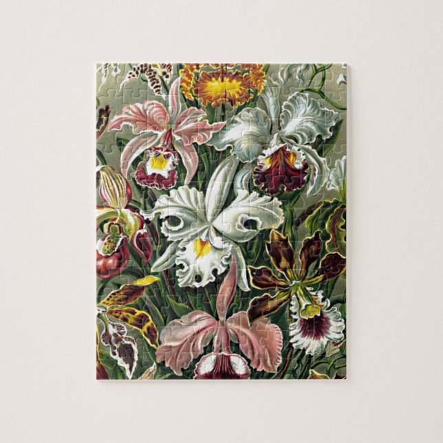 Quebra-cabeça Pintura das Flores Amarelas Brancas Haeckel Rosa (Vertical)
