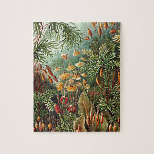 Quebra-cabeça Pintura De Cogumelo De Grama Haeckel Moss
