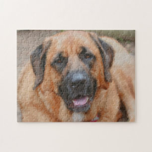 Quebra-cabeça Pintura de Foto de Cachorro Mastiff 