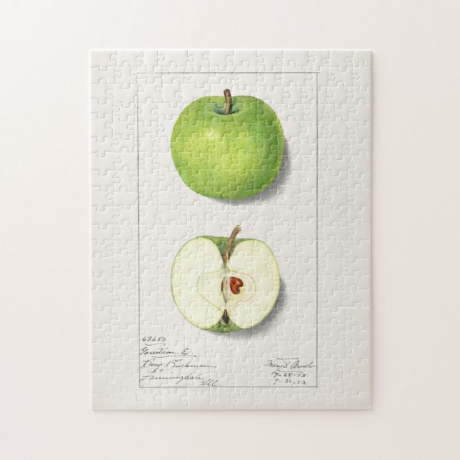 Quebra-cabeça Pintura de Fruta de Maçãs Verdes (Malus Domestica) (Vertical)