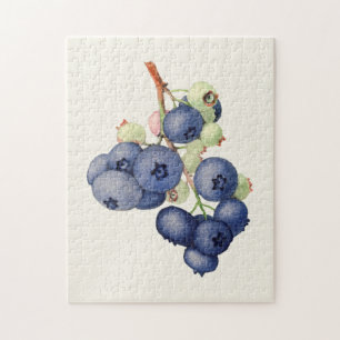 Quebra-cabeça Pintura de Fruta (Vaccinium Corymbosum)