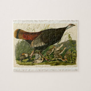 Quebra-cabeça Pintura de pássaros Selvagens de Audubon na Turqui