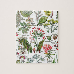 Quebra-cabeça Pintura de plantas perigosas