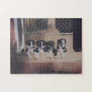 Quebra-cabeça Pintura Do Óleo De Collie De Borda