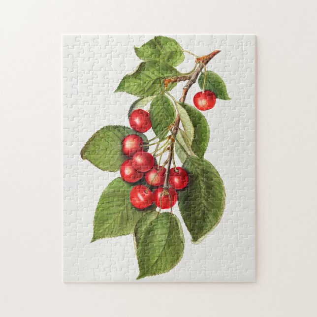 Quebra-cabeça Pintura em serragem de Fruta vermelho delicioso (Vertical)