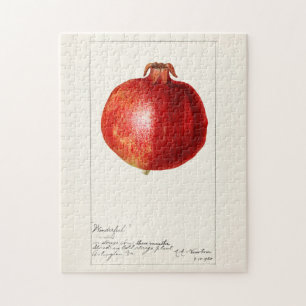 Quebra-cabeça Pintura Fruta de Pomegranatos (Punica Granatum)