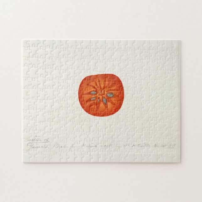 Quebra-cabeça Pintura Por Aquarela (Diospyros) Fruta Persimmon (Horizontal)