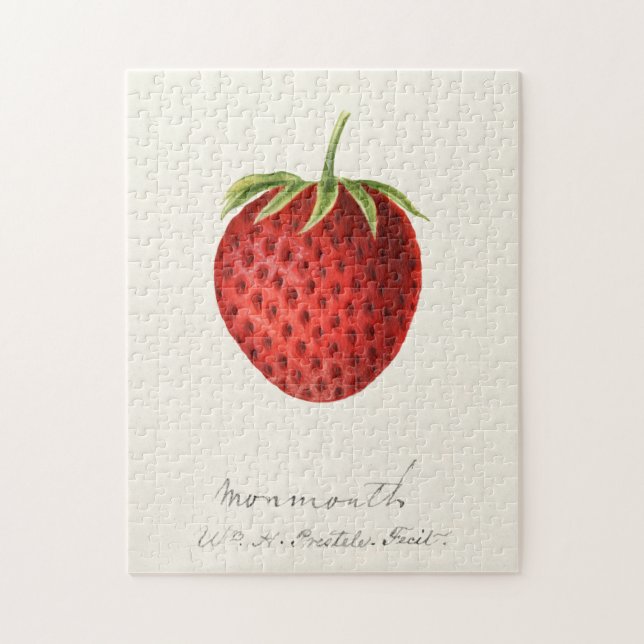 Quebra-cabeça Pintura por Aquarela (Fragaria) Fruta (Vertical)
