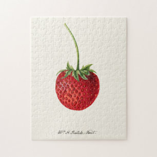 Quebra-cabeça Pintura por Aquarela (Fragaria) Fruta