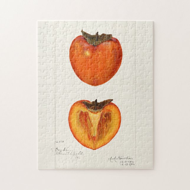 Quebra-cabeça Pintura Por Aquarela Fruta (Vertical)
