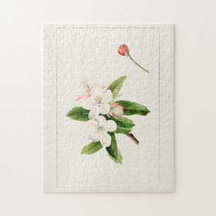 Quebra-cabeça Pintura Por Aquarela (Malus) Com Flor De Maçã De C