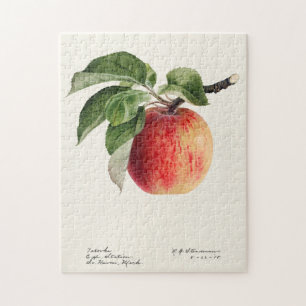Quebra-cabeça Pintura por Aquarela (Malus Domestica) Fruta