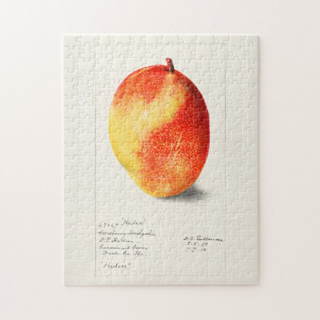 Quebra-cabeça Pintura por Aquarela (Mangifera Indica) Fruta (Vertical)