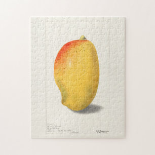 Quebra-cabeça Pintura por Aquarela (Mangifera Indica) Fruta
