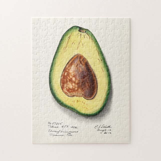 Quebra-cabeça Pintura Por Aquarela (Persa) Fruta (Vertical)