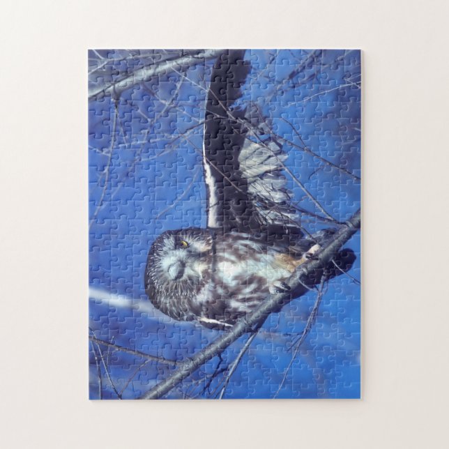 Quebra-cabeça Pisc a coruja (Vertical)