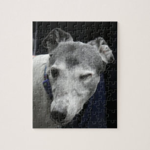 Quebra-cabeça Piscando em galgos (p444)