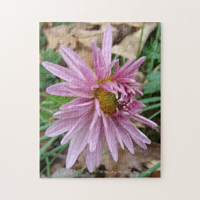 Quebra-cabeça Piscar os olhos cor-de-rosa! (Vertical)