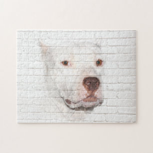 Quebra-cabeça Pitbull Branco Terrier