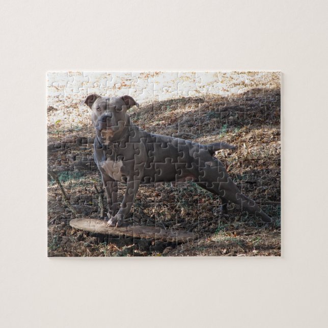 Quebra-cabeça Pitbull with Skateboard Puzzle (Horizontal)