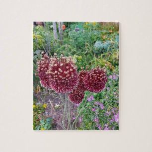 Quebra-cabeça Planta Flor de Allium Onion