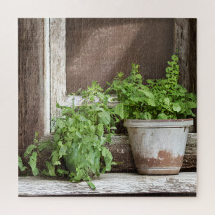 Quebra-cabeça Plantas bonito na janela russa