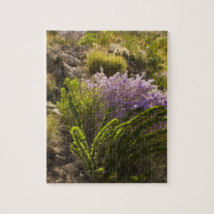 Quebra-cabeça Plantas do deserto de Chihuahuan em flor