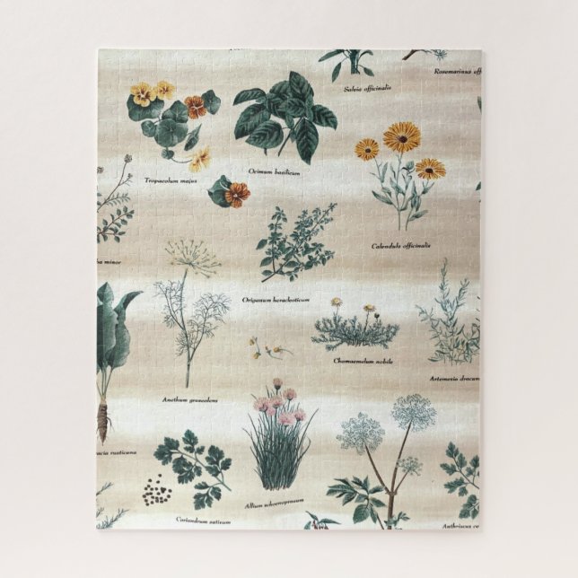 Quebra-cabeça Plantas Herbáceas Flores (Vertical)