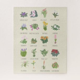 Quebra-cabeça Plantas Interior + Nomes Amantes De Plantas De Jar